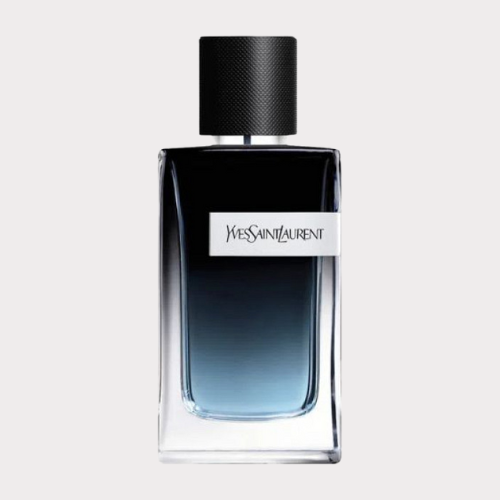 YSL Y EDP